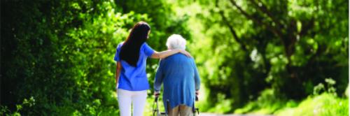 vehicle violation citation